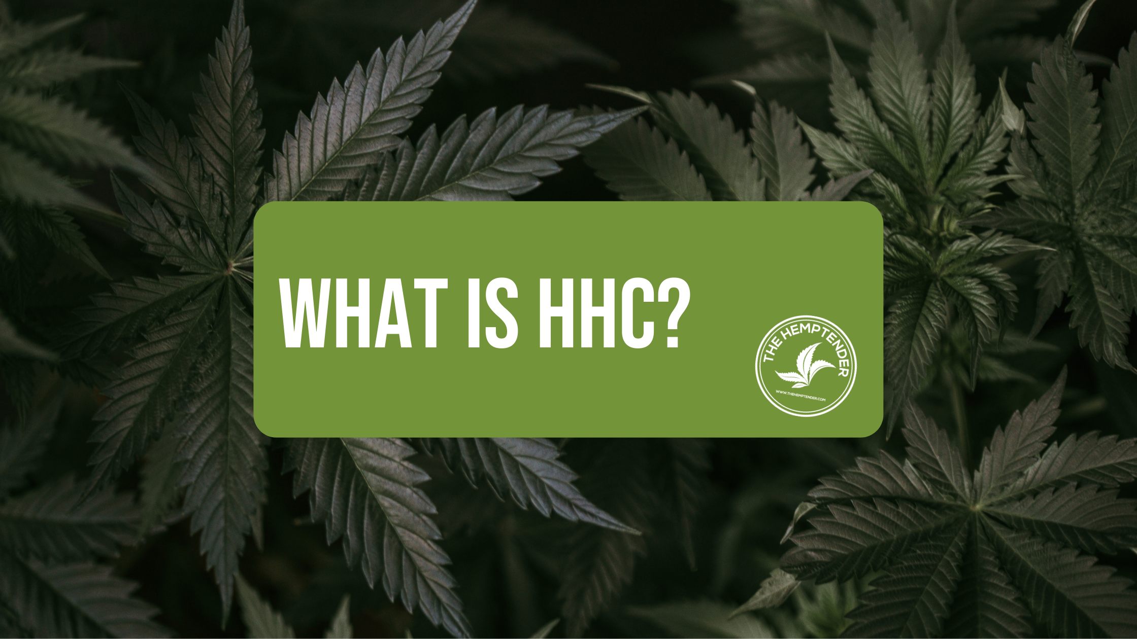 Everything You Need To Know About HHC