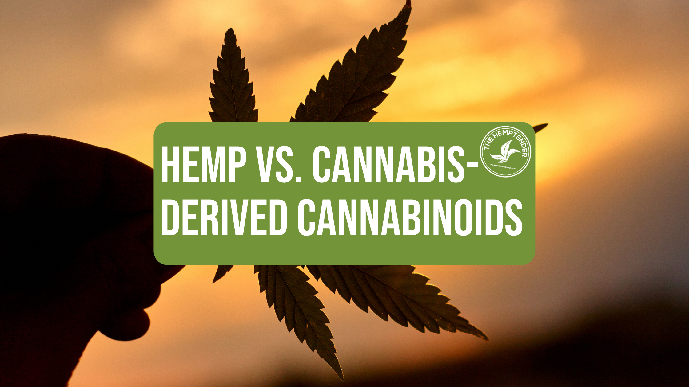 hemp-derived cannabinoids vs. marijuana-derived cannabinoids by The Hemptender