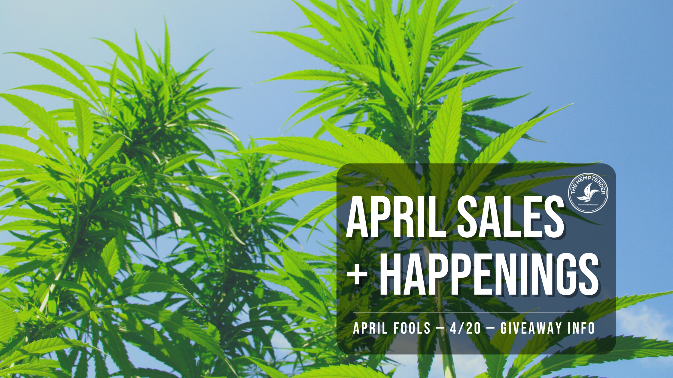 April Sales and Events at The Hemptender
