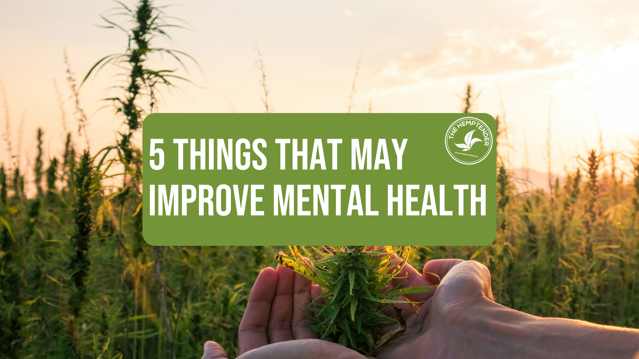 5 Things You Can Do That May Help Improve Your Mental Health
