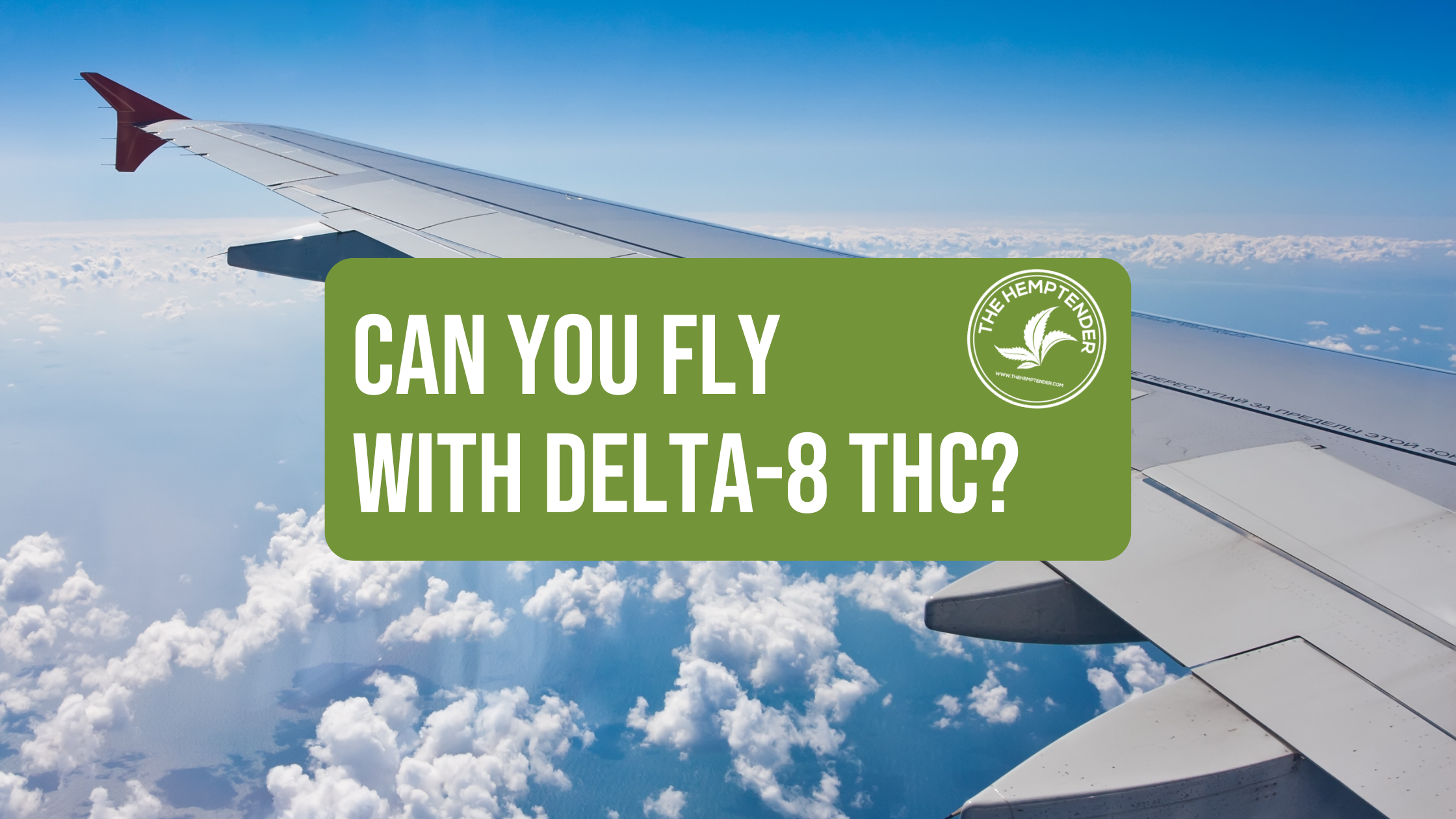 an airplane wing in the sky with text that reads " can you fly with delta-8 THC?" on a green background