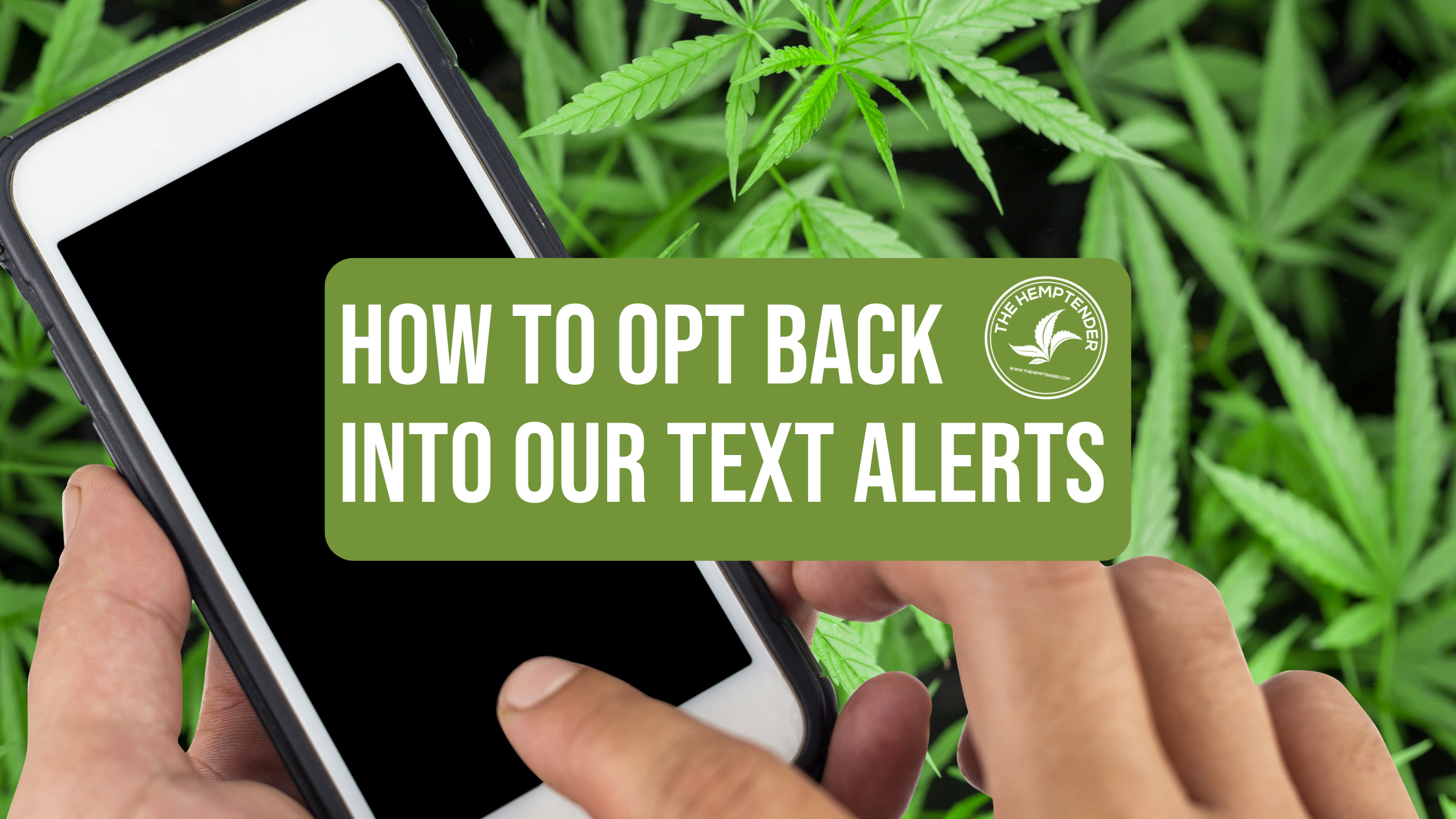 Reconnect With Us: How To Opt Back Into Our Text Alerts