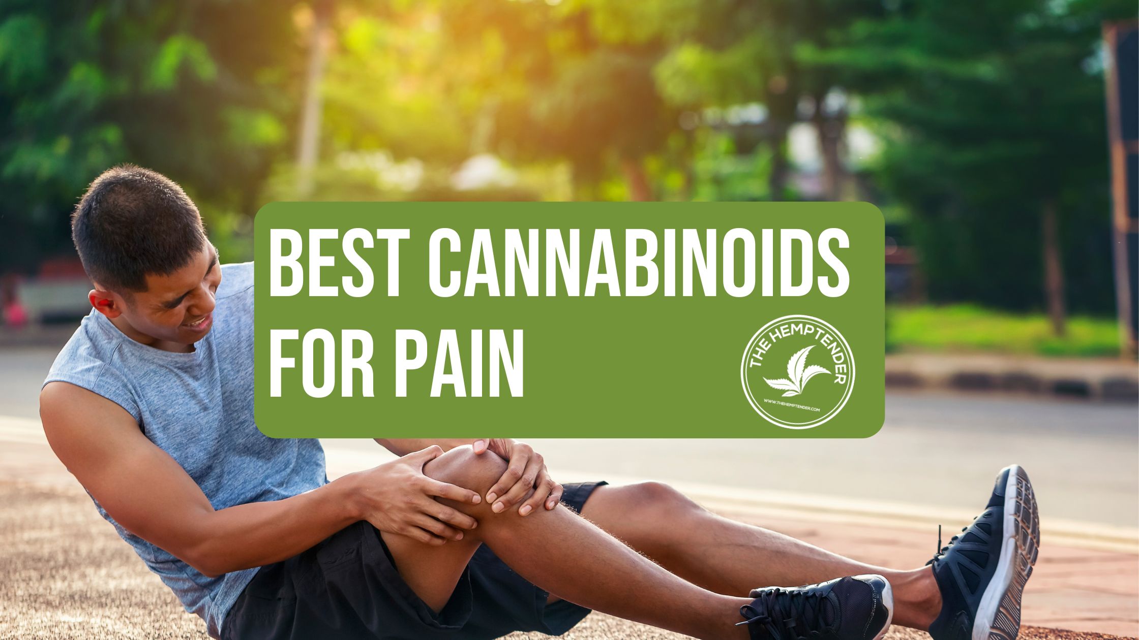 A man holding his knee in pain in a public park with text that reads "best cannabinoids for pain"
